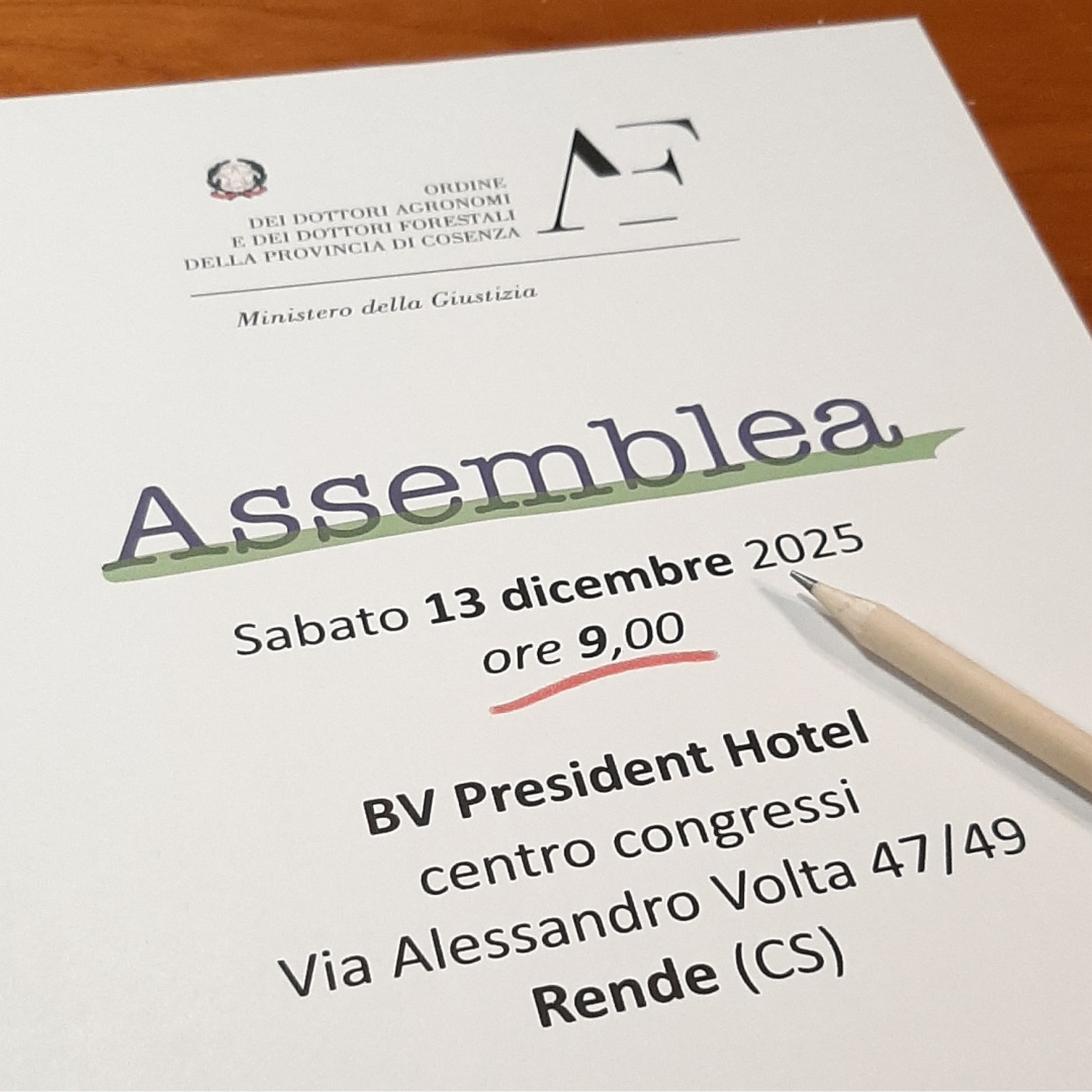 Il piano formativo al centro dell’Assemblea dell’Ordine